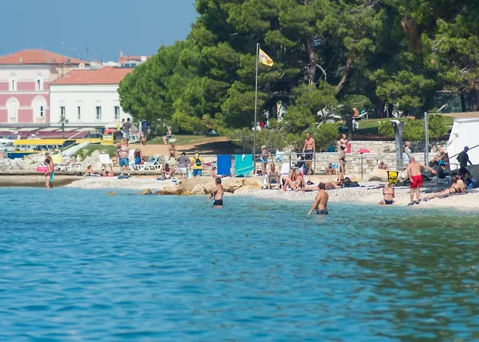 Maximilian&stela Pensionat